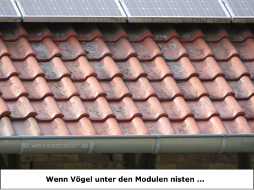 Photovoltaik-Bürste Ø 12 cm - Länge 100 cm - 5er-Gebinde