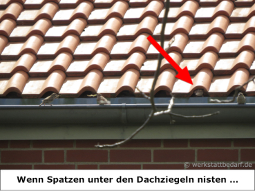 Spatzenbürste Ø 9 cm - Länge ca. 16 cm inkl. Biegung - 50er-Gebinde