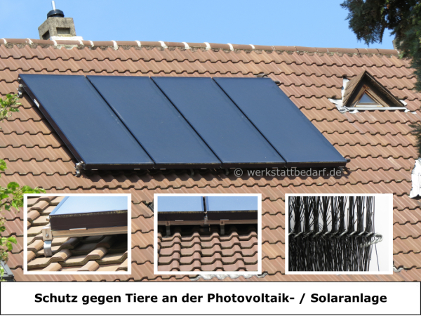 Photovoltaik-Bürste Ø 19 cm - Länge 120 cm - 6er-Gebinde